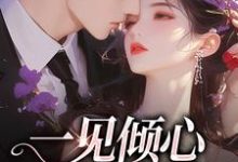 许愿莫昊霖小说在线章节免费阅读(一见倾心,再见深情无弹窗无删减)-红梅文学
