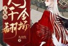 唐璎燕不臣顾玄机为主角的小说好看吗？求王妃她一人干翻了全场免费试读-红梅文学