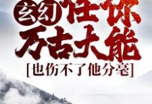 王道小说《玄幻:任你万古大能,也伤不了他分毫》在线阅读-红梅文学