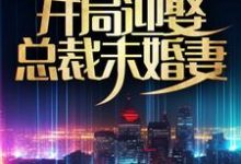 高手下山:开局迎娶总裁未婚妻小说阅读,高手下山:开局迎娶总裁未婚妻完结版-红梅文学