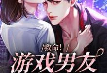 何皎皎风远道的故事在哪本书里?免费阅读救命!游戏男友成真了-红梅文学