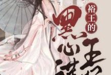 小说《嫡女重生:裕王的黑心莲王妃》章节免费阅读-红梅文学