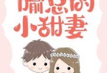 阮诗诗喻以默小说在哪里可以看-红梅文学