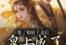 苏沐沐邢臻是哪本书的主角?娶了相府千金后,皇上成了恋爱脑免费读-红梅文学