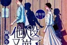 许安好顾盛泽小说《顾先生他人设又崩了》在线阅读-红梅文学