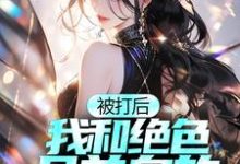 被打后,我和绝色且单身的太太和解了免费阅读,被打后,我和绝色且单身的太太和解了章节目录-红梅文学