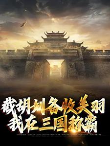 截胡刘备收关羽，我在三国称霸小说，截胡刘备收关羽，我在三国称霸在线阅读