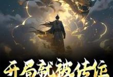 开局就被传位,成为万古一帝刘昊小说在线章节免费阅读-红梅文学