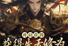 主角李宗彦小说开局获得先天修为,看我逆风翻盘免费阅读-红梅文学