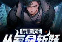 完结版《横推武道:从氪命斩妖开始无敌》免费阅读-红梅文学