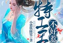 完结版《特工王妃不好惹》在线免费阅读-红梅文学