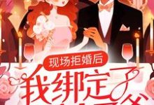 秦司,宋希楚弘逸是哪本书的主角?现场拒婚后,我绑定了京圈太子爷免费读-红梅文学