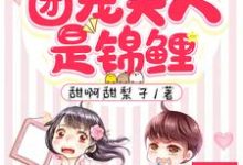 主角叫南音顾时霆的小说在哪阅读-红梅文学
