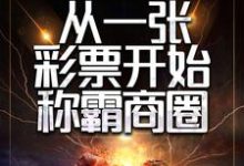 小说《重生后,从一张彩票开始称霸商圈》在线章节阅读-红梅文学