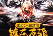 玄幻:人在禁地,镇压反派的我无敌了小说阅读,玄幻:人在禁地,镇压反派的我无敌了完结版-红梅文学