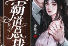 哪里能找到小娇妻的霸道总裁小说的全部章节?-红梅文学