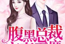 已完结小说《腹黑总裁宠妻无度》章节在线阅读-红梅文学