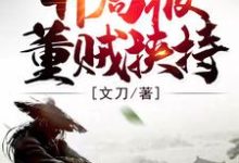 三国:开局被董贼挟持小说阅读,三国:开局被董贼挟持完结版-红梅文学