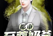 都市至尊奶爸最新章节,都市至尊奶爸免费阅读-红梅文学