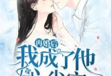 再婚后,我成了他的心尖宠小说,再婚后,我成了他的心尖宠免费阅读-红梅文学