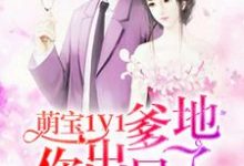 男女主人公时初夏陆琰时晋白陆星辰小说萌宝1V1:爹地你出局了章节免费阅读-红梅文学