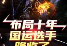 苏辰是哪本书的主角?寻找布局十年,国运选手降临了免费阅读-红梅文学