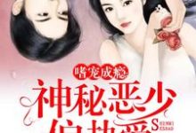 嗜宠成瘾:神秘恶少偏执爱最新章节,嗜宠成瘾:神秘恶少偏执爱章节在线阅读-红梅文学