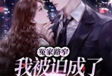 冤家路窄:我被迫成了前男友的小妈小说有没有完结版在线?-红梅文学