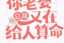 主人公叫叶紫鸢君凌渊的小说总裁,你老婆又在给人算命在线阅读章节-红梅文学