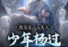 完结版《收美女,入先天,少年杨过以武立国》在线免费阅读-红梅文学