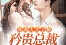 温阮清陆晏辞的完整故事在哪里?读冰美人太会撩,矜贵总裁他难自控啦小说-红梅文学
