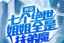 秦欢小说叫什么(神豪:七个绝世姐姐全是扶弟魔免费阅读)-红梅文学