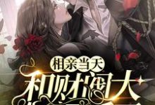 男女主人公周觅付连州小说相亲当天,和财阀大佬闪婚了章节免费阅读-红梅文学