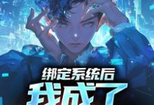 绑定系统厚,我成了黑客大佬小说阅读,绑定系统厚,我成了黑客大佬完结版-红梅文学