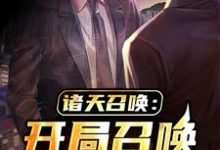 诸天召唤:开局召唤saber(陈奕周儒)在线免费阅读-红梅文学