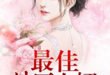 最佳神医女婿小说的免费电子版在哪里可以下载或阅读?-红梅文学