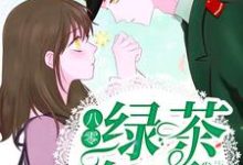 小说《八零绿茶女王》在线章节阅读-红梅文学