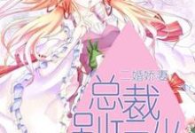 求二婚娇妻:总裁别玩火小说免费资源-红梅文学