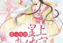 君心难测:皇上来侍寝最新章节,君心难测:皇上来侍寝免费阅读-红梅文学