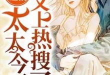 主人公叫叶瑾绯江澜的小说哪里免费看-红梅文学