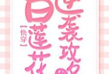 快穿:白莲花逆袭攻略小说,快穿:白莲花逆袭攻略章节在线阅读-红梅文学