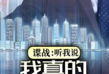 龙言夏目贤人是哪本书的主角?寻找谍战:听我说,我真的是友军免费阅读-红梅文学