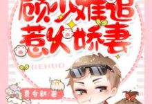苏若夏顾南柯为主角的小说一胎两宝:顾少难追惹火娇妻在线阅读-红梅文学