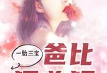 小说《一胎三宝,爸比狠凶猛》章节免费阅读-红梅文学