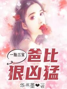 小说《一胎三宝，爸比狠凶猛》章节免费阅读