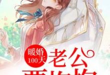 在线寻找暖婚100天:老公要抱抱小说的无删减版本-红梅文学