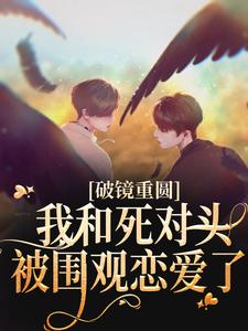 宋匀星沈砚辞的小说在哪里看？免费在线阅读破镜重圆：我和死对头被围观恋爱了