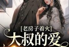老房子着火:大叔的爱势不可挡免费阅读,老房子着火:大叔的爱势不可挡章节目录-红梅文学