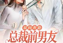 双向奔赴:总裁前男友非要破镜重圆小说完结了吗?在哪里可以免费读到?-红梅文学