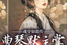 魂穿如懿传，曹琴默主掌后宫大权曹琴默，魂穿如懿传，曹琴默主掌后宫大权小说免费阅读-红梅文学